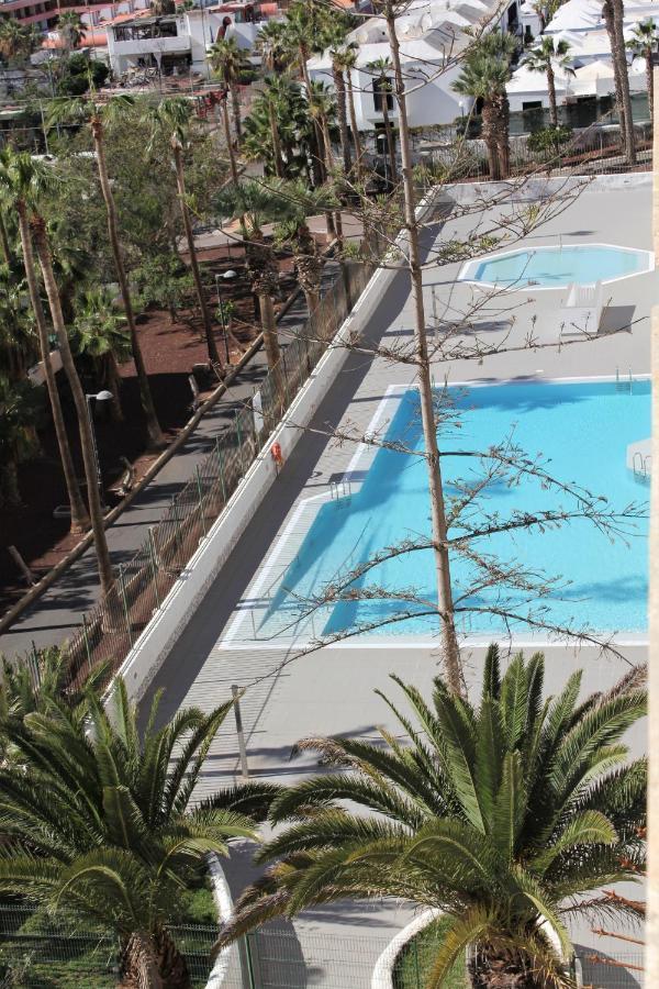 Superb Seaview Apartment In Playa De Las Americas المظهر الخارجي الصورة